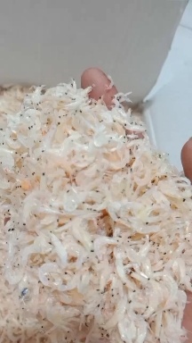 滨州虾皮  淡干无盐 规格齐全 产地直发 对接商超 电商社区团购