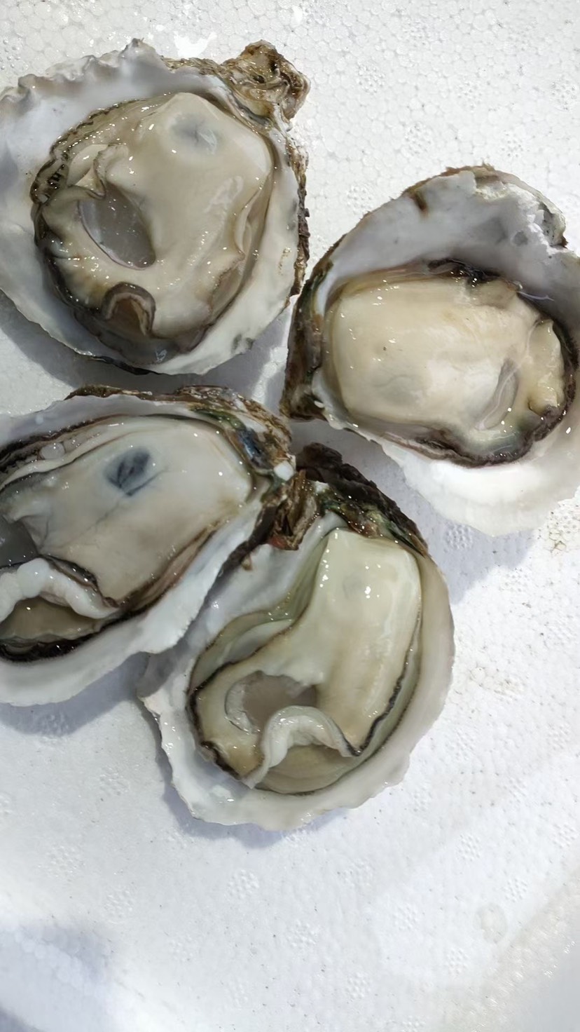 正宗精品湛江生蚝白蚝脆蚝薄壳肉实，烧烤供应产地直销。