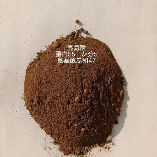 正定县亮氨酸渣