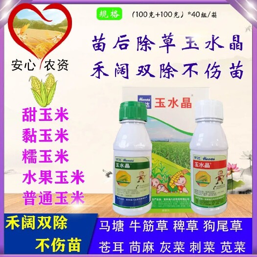 玉水晶1+1黏玉米甜玉米糯玉米水果玉米禾阔双除除草剂硝磺草酮