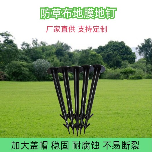 惠民县防草布地钉园林大棚除草布地钉塑料地钉拉枝钉
