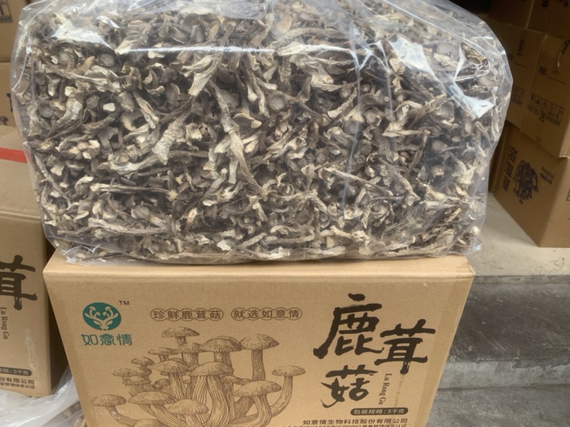 鹿茸菇 脆脆菇 一手货源 各种规格