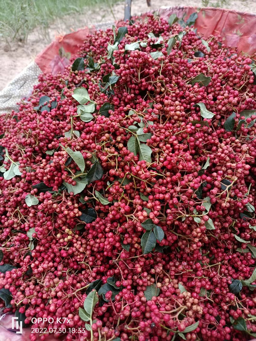 农家自种鲜花椒，色面红，味麻辣心黑叶子麻等特点，