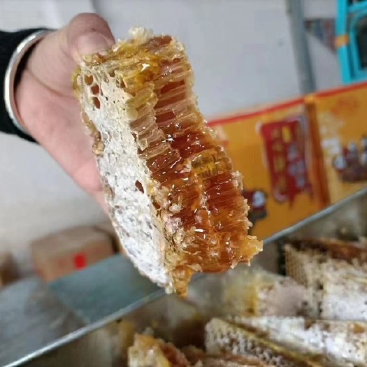 成都正中巢蜂蜜，新鲜蜂巢蜜，