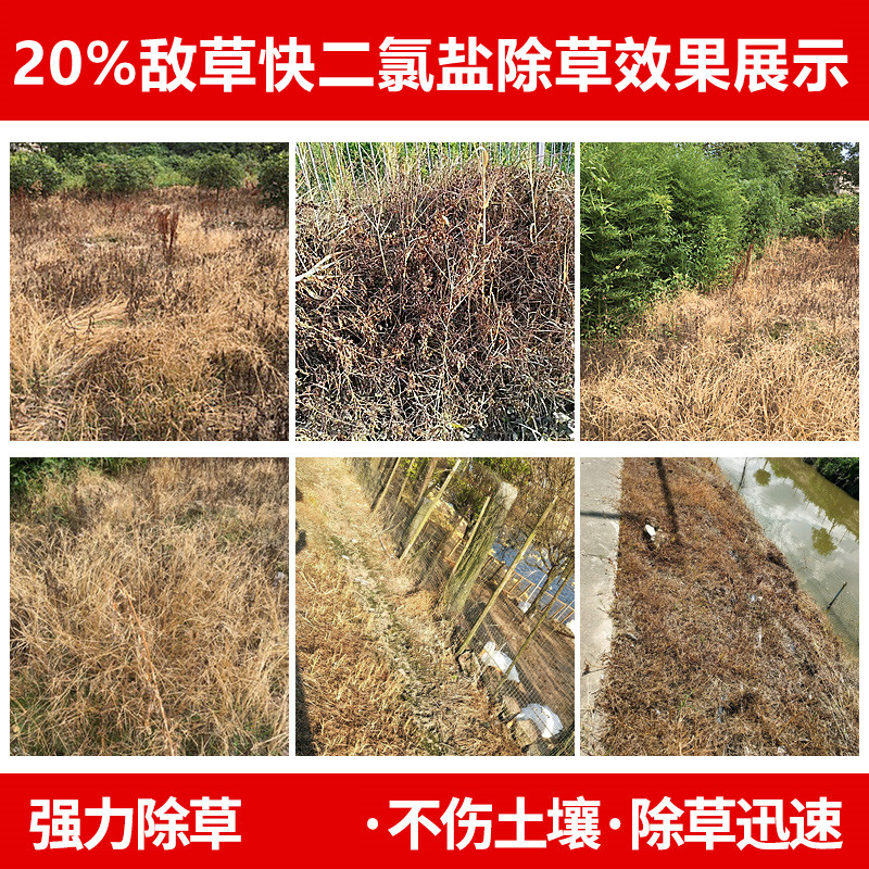 20%敌草快二氯盐果园荒地庭院非耕地除杂草水稻催枯农药除草剂