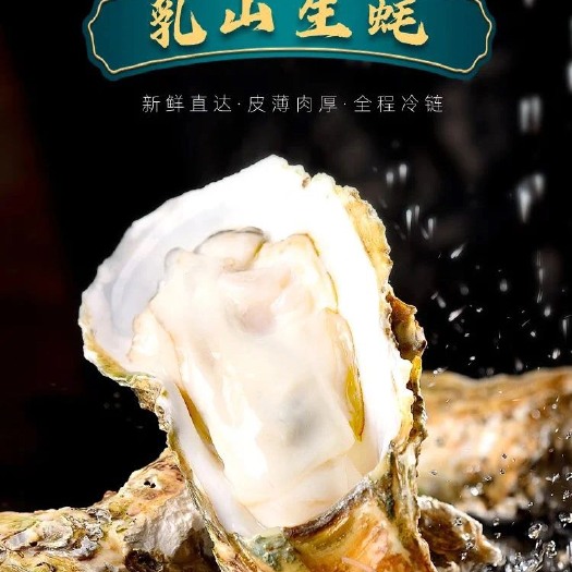 乳山市乳山生蚝一手货源“全规格”可批发可零售