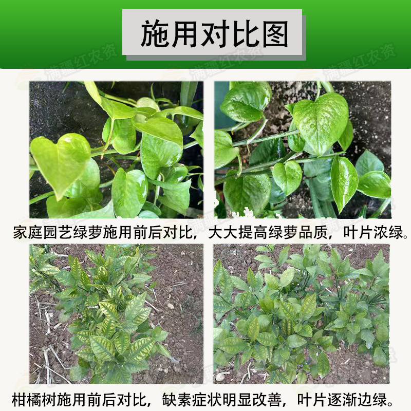 含氨基酸水溶肥大田瓜果蔬菜果树茶树通用肥补充营养微量元素