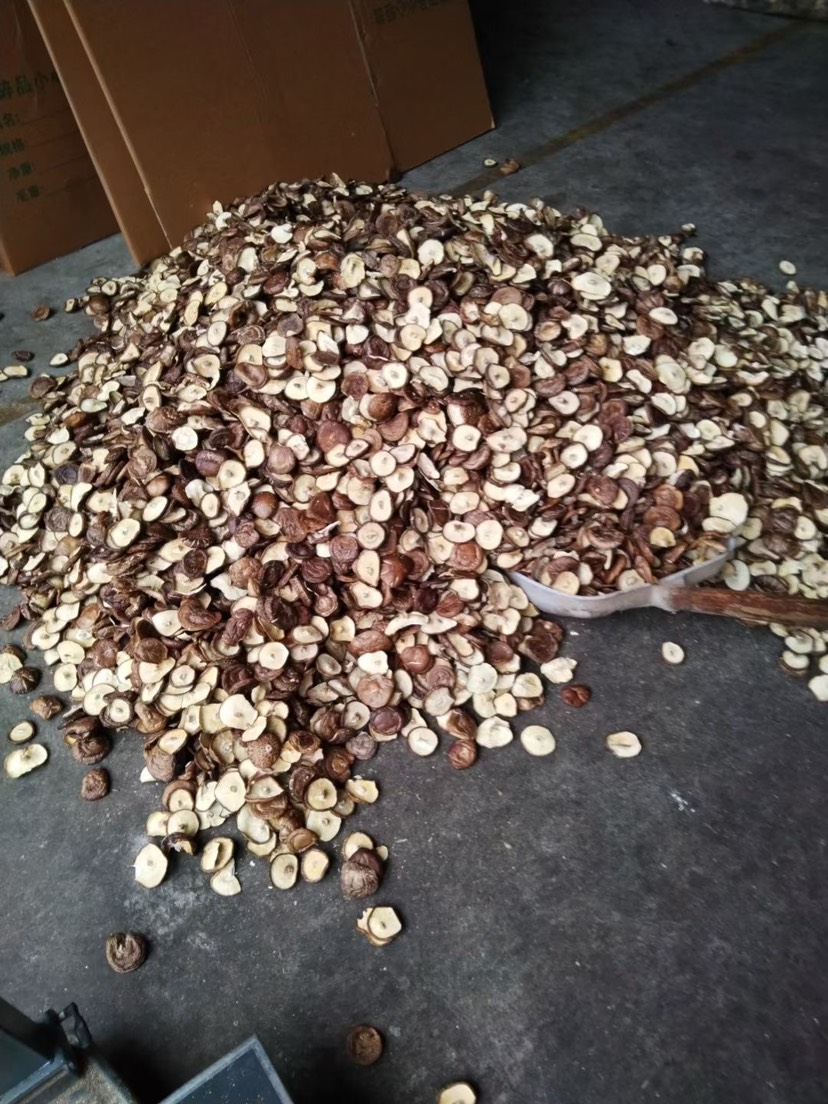 椴木香菇、防野生种植香味十足，颜色鲜艳。￼量大，从优。！！！
