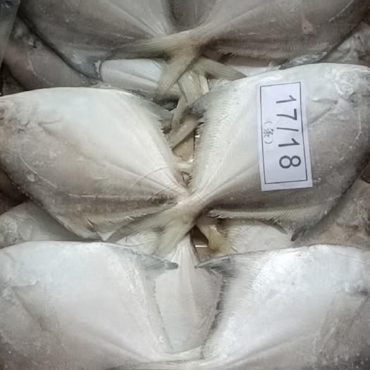 德州板冻银鲳