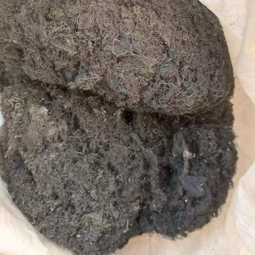 酒泉酒泉祁连山发菜