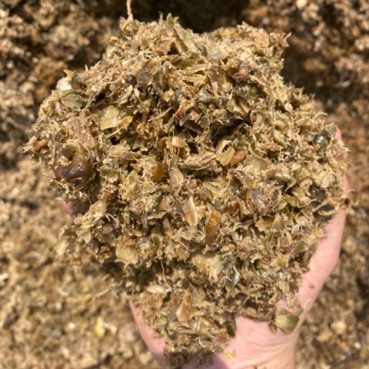 徐闻县果渣饲料。  益生菌发酵菠萝渣。