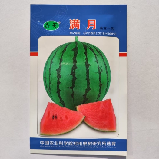 沭阳县满月西瓜种子早熟小果型礼品西瓜种籽圆形水果红瓤春播耐裂
