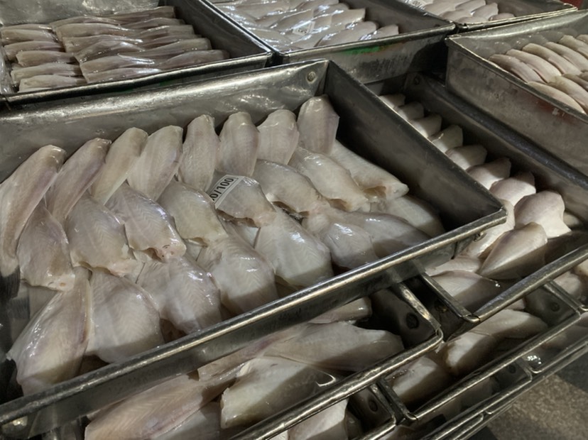 北海厂家马面鱼一手批发 耗儿鱼 扒皮鱼 国际原料国内原料均有