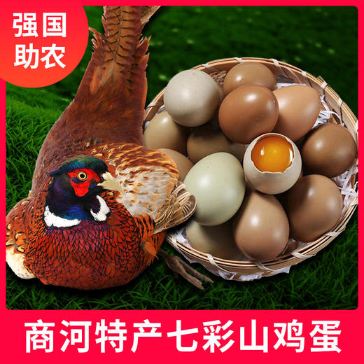 沛县七彩山鸡蛋