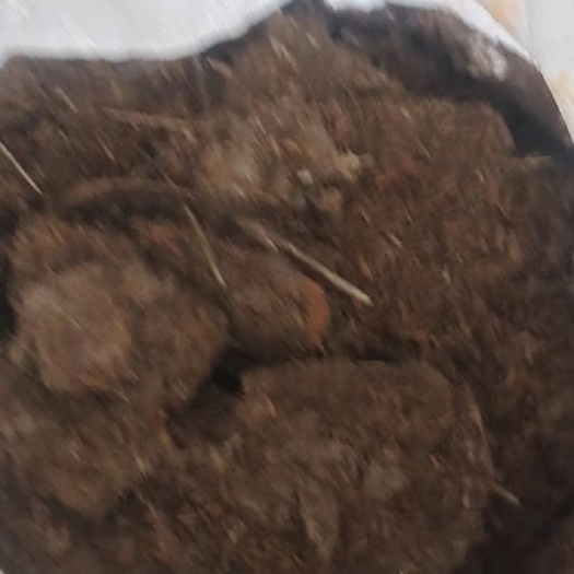 六安稻壳鸡粪，干鸡粪，纯鸡粪