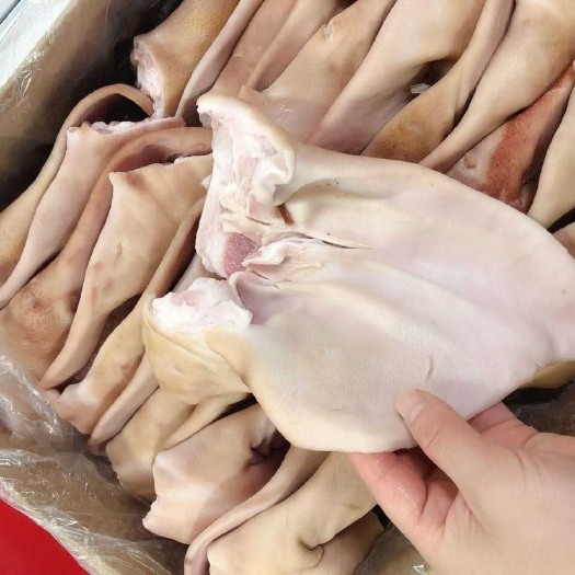 新鲜冷冻猪耳猪耳朵生猪耳批发零售毛重20斤干净无毛饭店卤菜