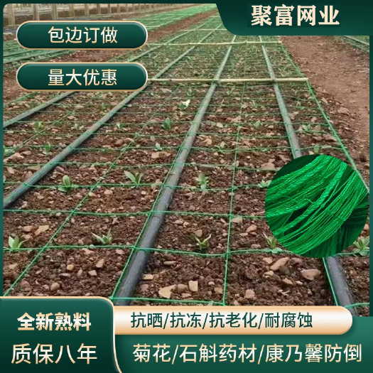 沭阳县鲜切花菊花网种植网定植网定型网方格网