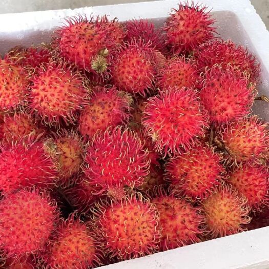 新鲜红毛丹水果热带精选毛荔枝整箱包邮