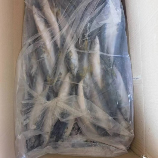 石狮市鲭鱼80-90 4-6条一斤 一件定重9kg 一件55