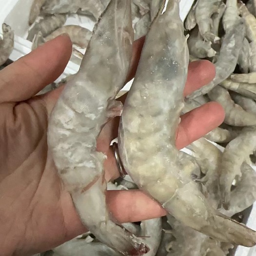烟台国产盐冻大虾