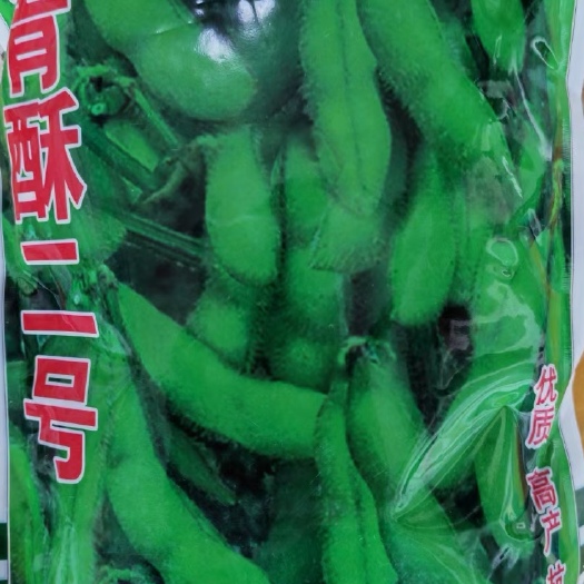 夏邑县青酥二号毛豆种子春季特早毛豆种子绿宝石毛豆种子权鲜豆毛豆种子