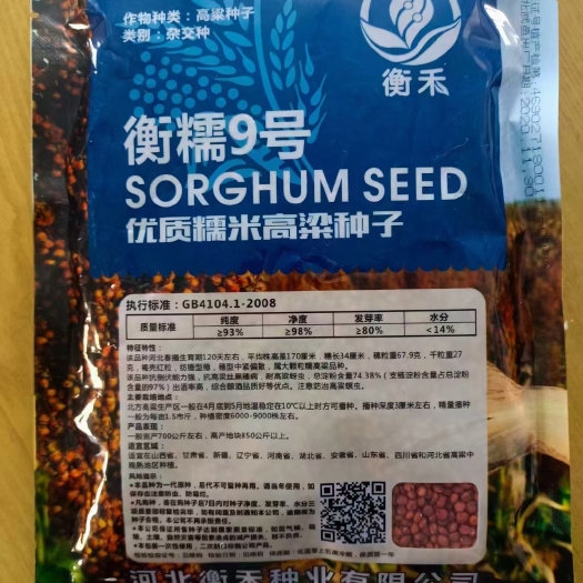 无棣县产量最高的大颗粒糯高粱种子