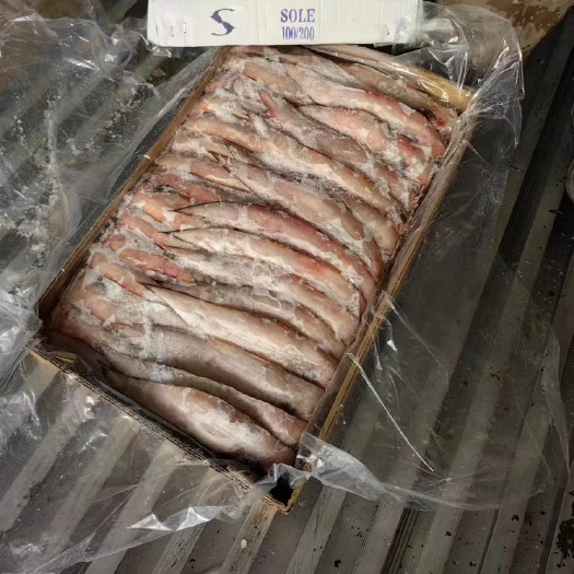物美价廉，全规格都有