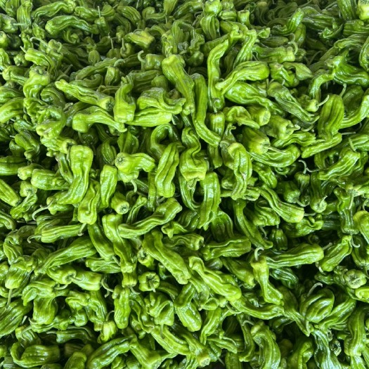兰陵县大量芜湖椒供应