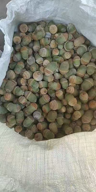 惠东县猪仔笠去帽干货