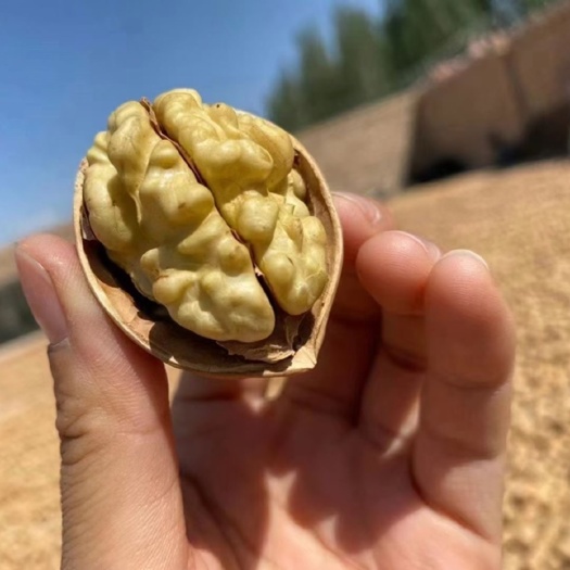 阿克苏市新疆阿克苏纸皮核桃正宗185新货