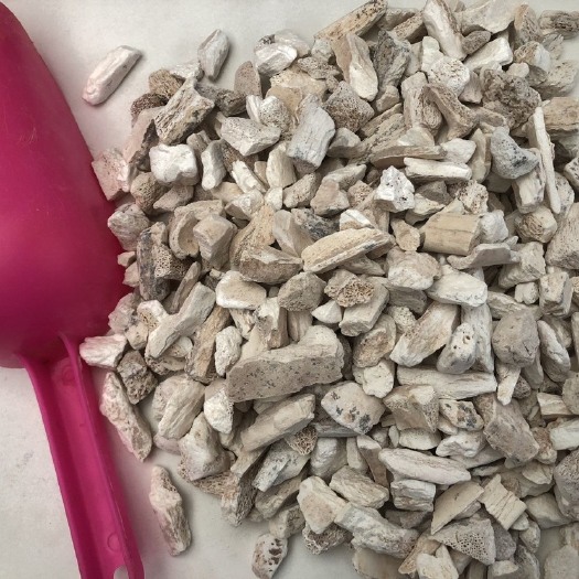 亳州正品龙骨 龙骨500g中药材正品生龙骨吸舌五花龙骨白龙骨