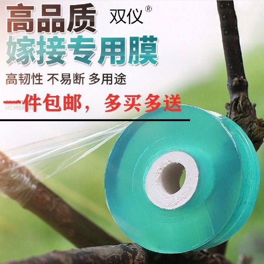 兰陵县专业PE嫁接膜苗木果树专用膜缠绕膜
      10个起拍