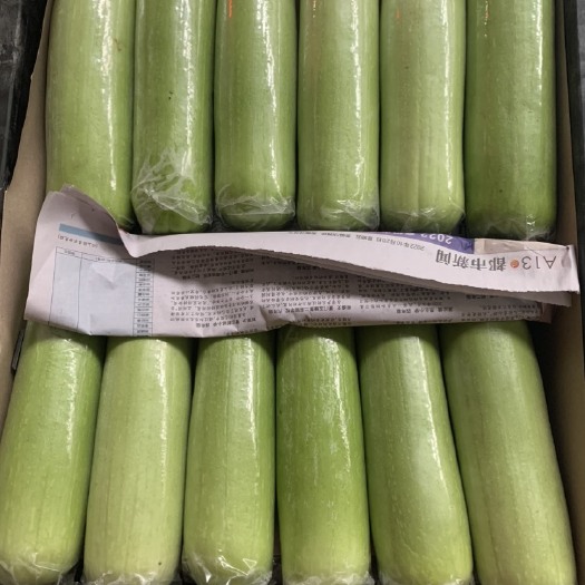 长沙县各类白丝瓜，福建，广西