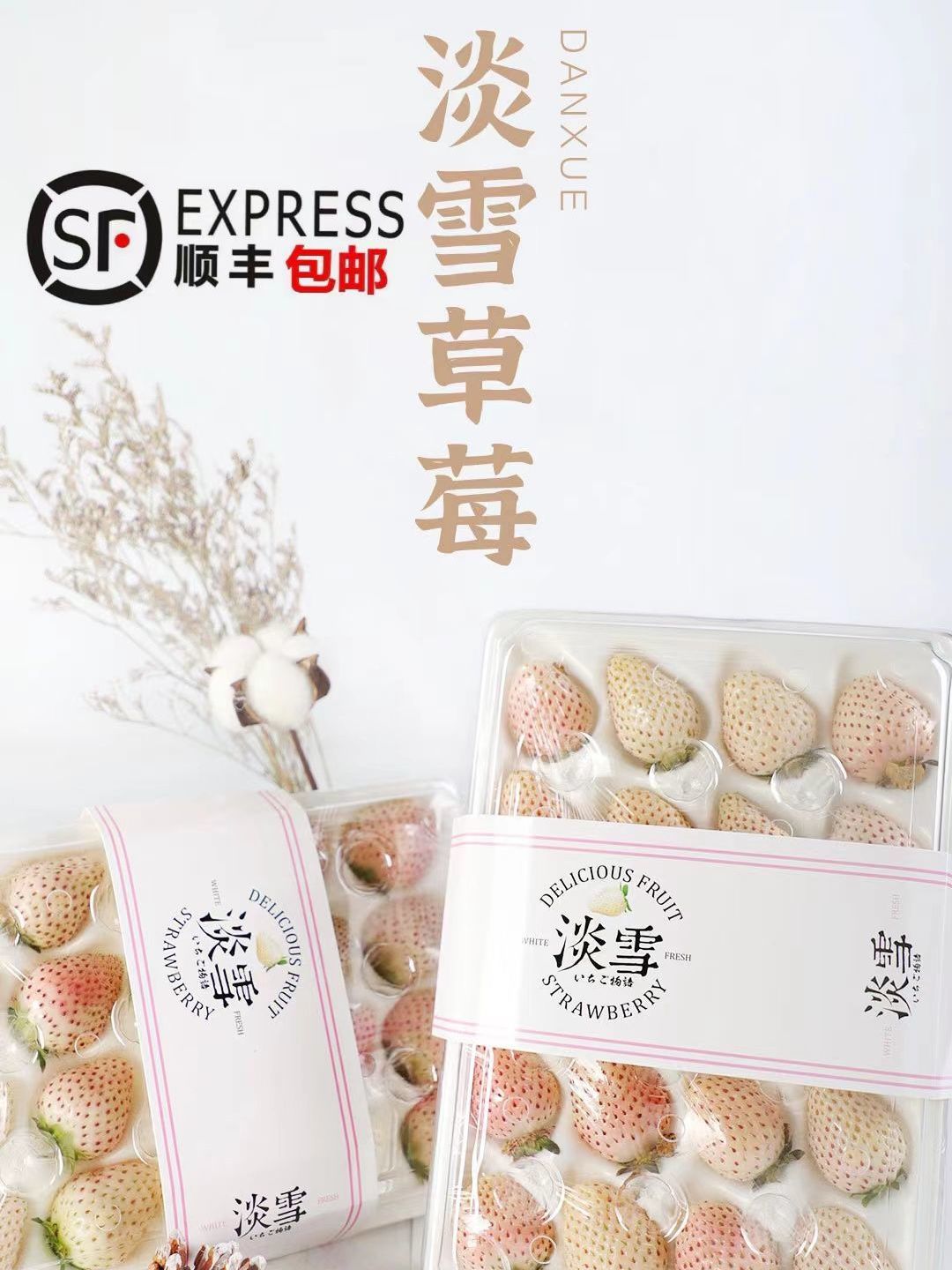 广州【顺丰】山东淡雪草莓代发1/3斤应季新鲜奶油白雪公主水果礼盒