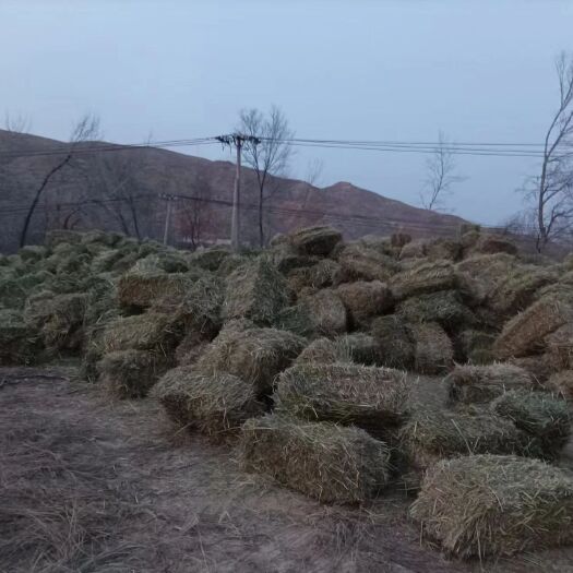 海东燕麦草捆