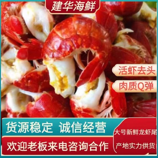 连云港【大号】小龙虾尾现剥活一级龙虾尾虾球鲜活速冻非无冰小海鲜水产