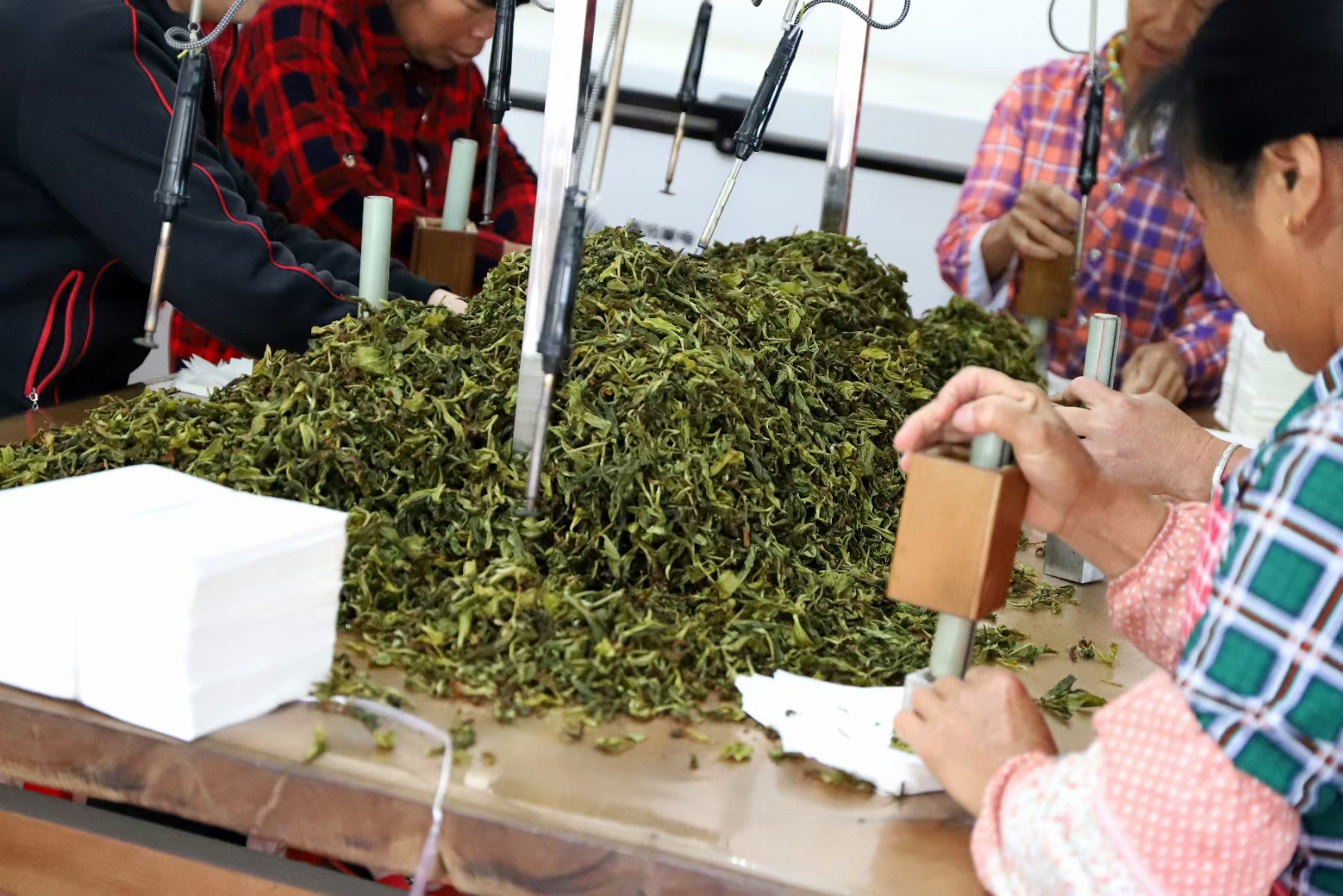 【茶农直销】漳平水仙茶漳平乌龙茶叶水仙兰花香浓香型
