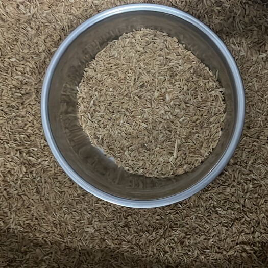 温州稻壳，谷糠，米糠