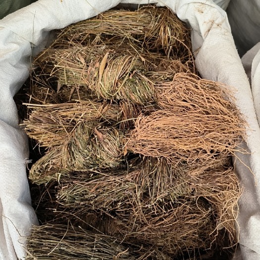 玉林徐长卿