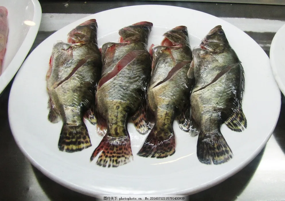 化州市鳜鱼饲料，特种鱼饲料，水产饲料，品牌饲料