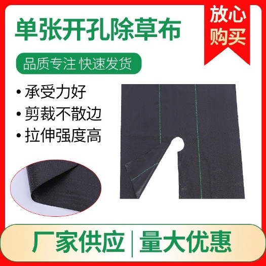 无棣县裁剪切片打孔防草布