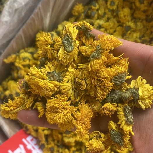 亳州婺源黄菊花 泡水 一朵一杯
