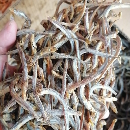 桂林金丝鱼