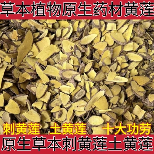盐津县草本十大功劳木中药材正品功劳木土黄连根黄藤刺十大功劳