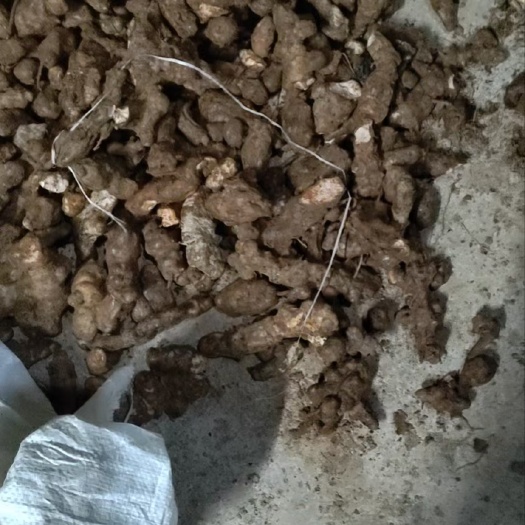 巴马县巴马深山老林中药材土茯苓