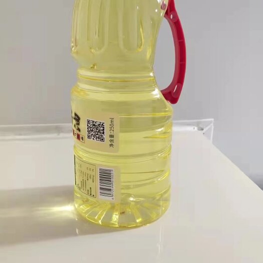 田东县山茶油