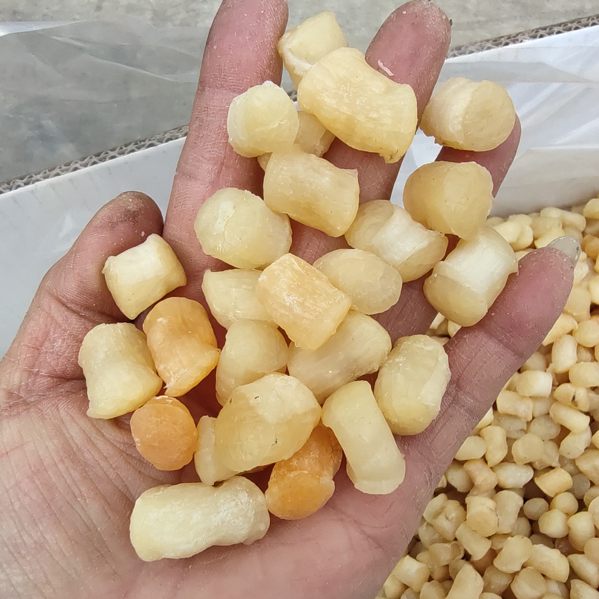 干贝  扇贝丁干度好淡干咸干都有！质量特别好，一手货源无差价