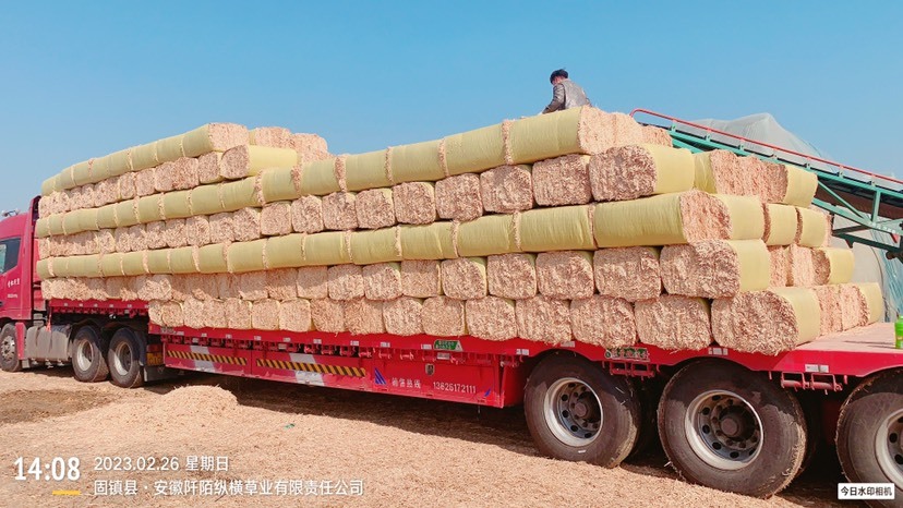 固镇县小麦秸秆