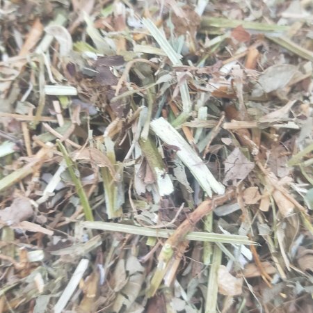 彰武县出售花生秧草粉