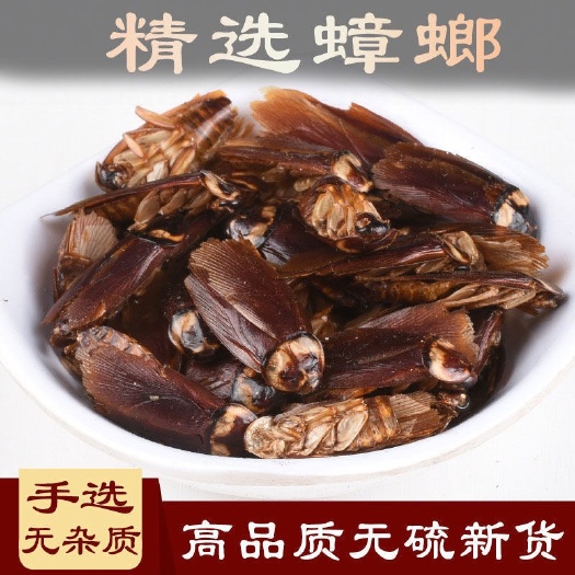 亳州蟑螂干 中药材美洲大蠊 干蟑螂金龙鱼饲料蟑螂粉家用药用包邮